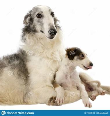 聯(lián)盟契約(手擼無限代幣)加盟費的成功案例分享